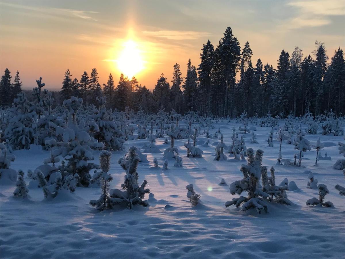 Soppela Retreat At The Arctic Circle Apartment Kemijarvi Bagian luar foto